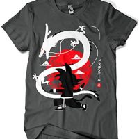 Camisetas La Colmena 4020-Goku Shenron - Dragon Ball (albertocubatas)